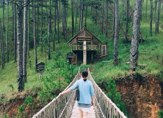 Du lịch Tết Nguyên đã 2021 hãy chọn Đà Lạt nơi được mệnh danh Châu Âu thu nhỏ tour da lat